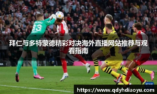 3377体育官网入口