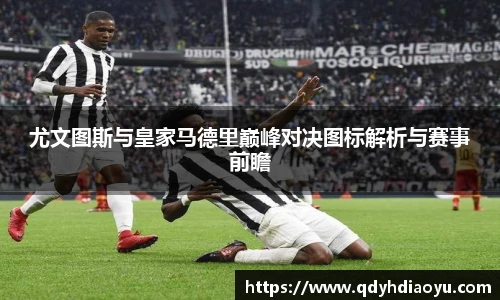 3377体育官网入口