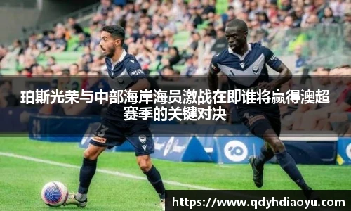 3377体育官网入口