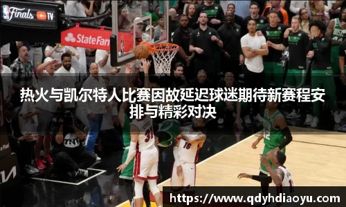 3377体育官网入口